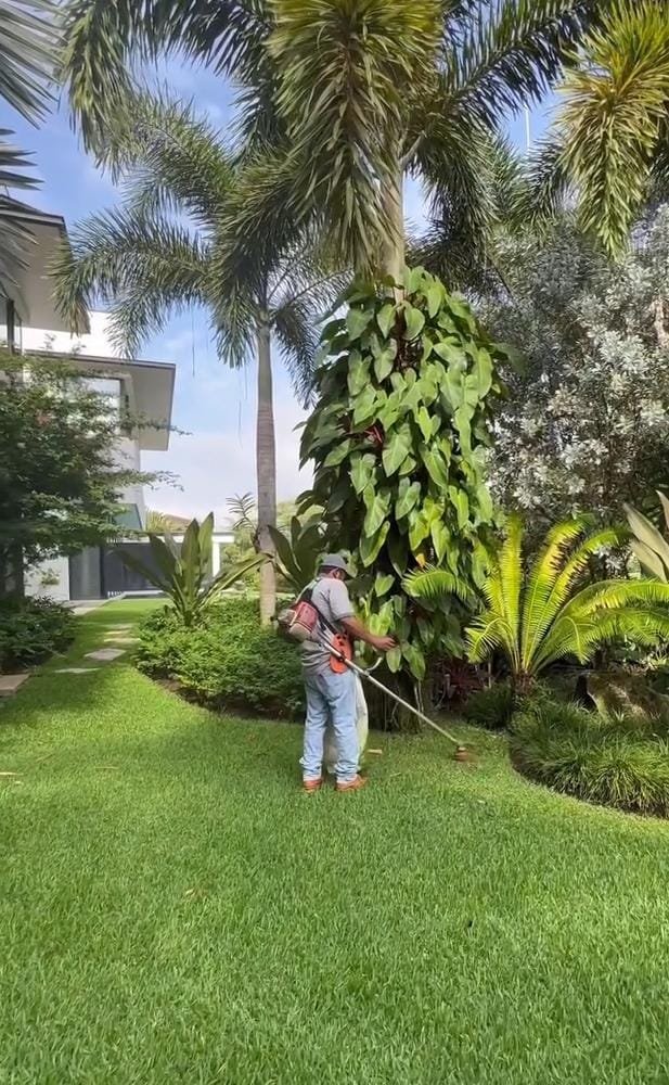 Jardineria foto 3