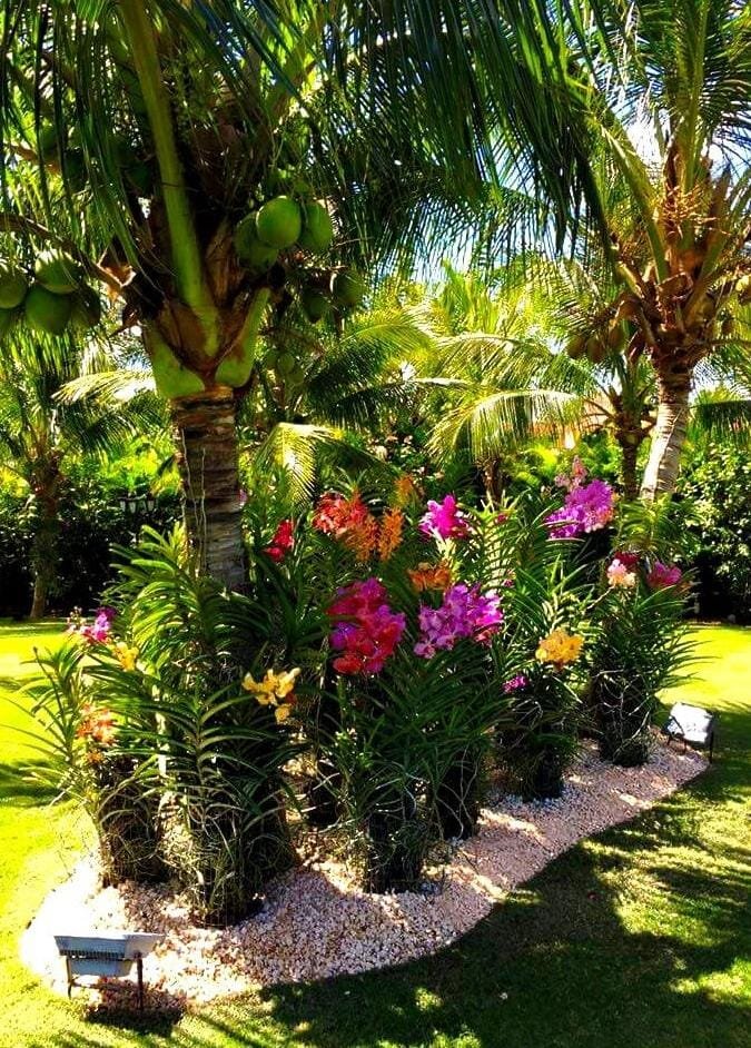 Jardineria