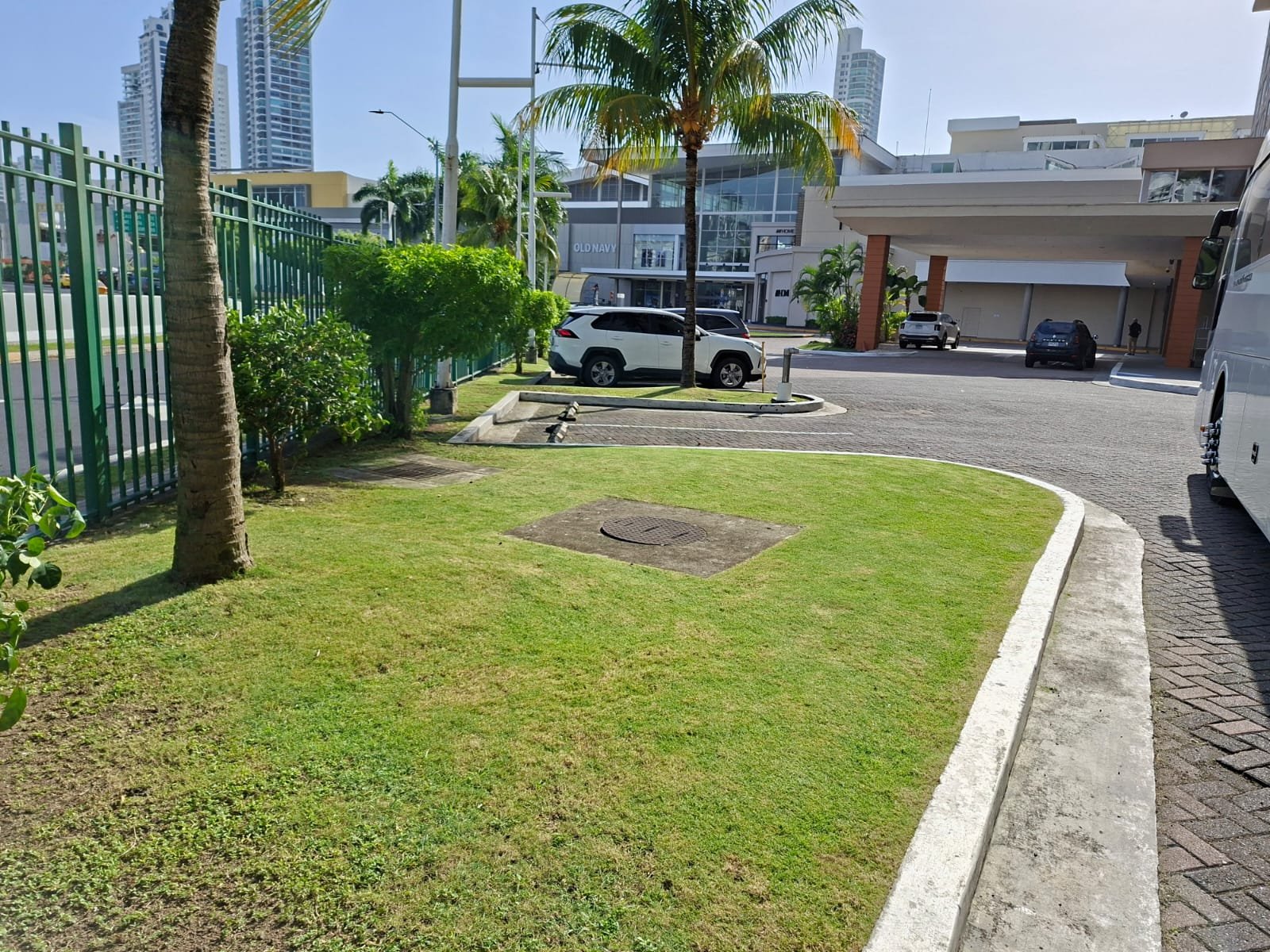 Jardineria foto 4